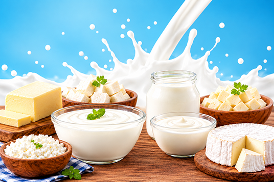 DAIRY PROCESSING PLANT